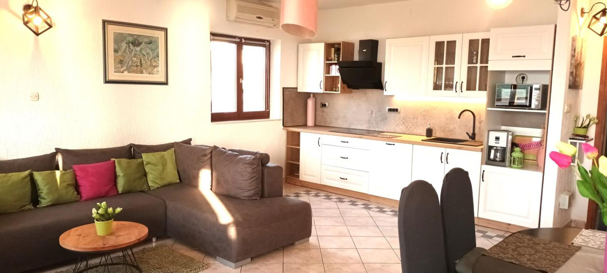 Olivista Croatia Apartments ニヴィーチェ 部屋 写真