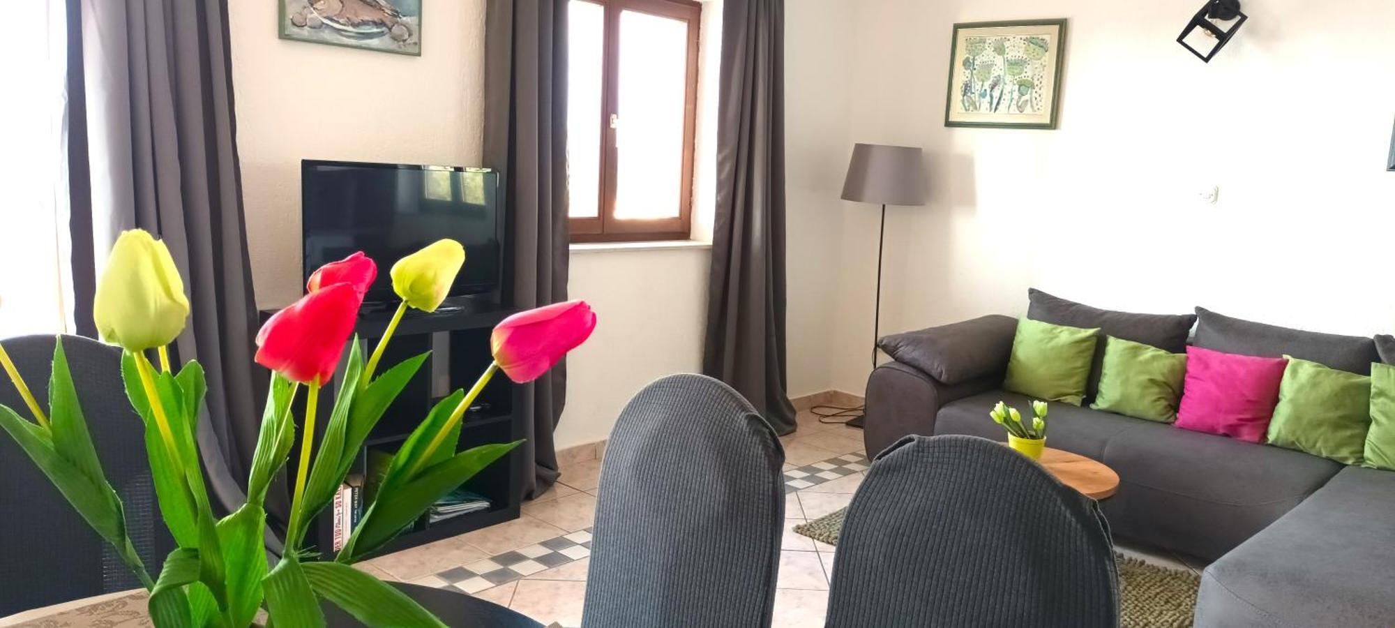 Olivista Croatia Apartments ニヴィーチェ エクステリア 写真