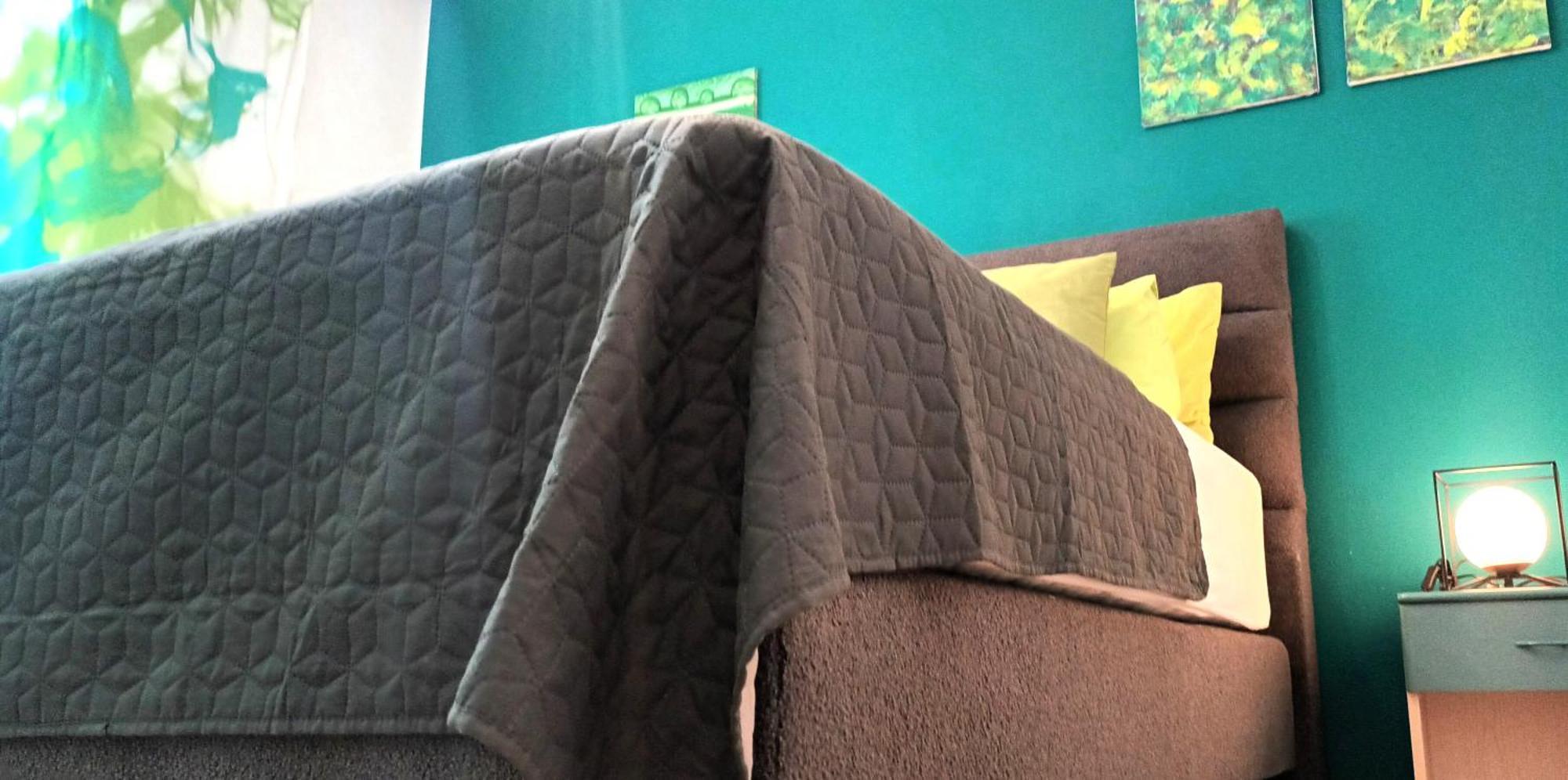 Olivista Croatia Apartments ニヴィーチェ 部屋 写真