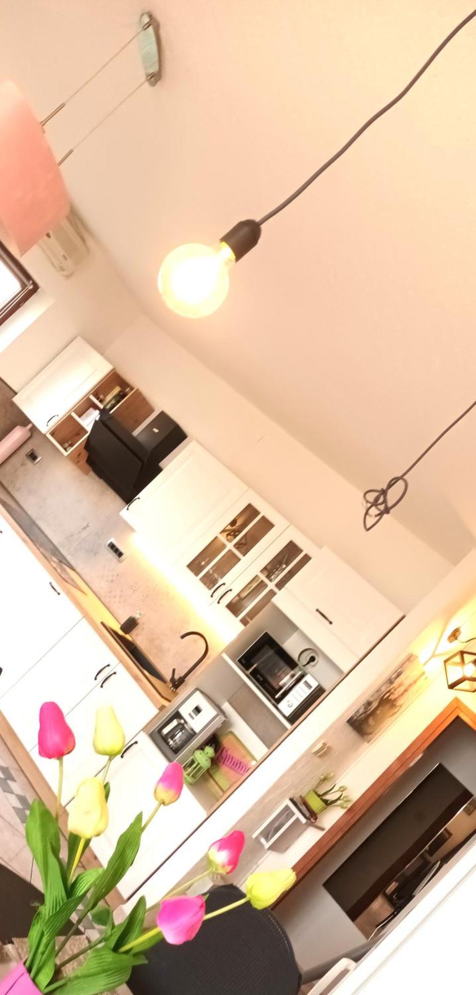 Olivista Croatia Apartments ニヴィーチェ 部屋 写真